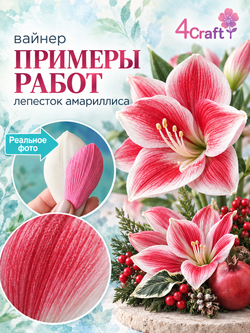 Вайнер лепесток Амариллиса