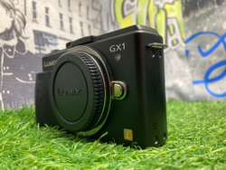 Panasonic Lumix DMC-GX1 400 кадров