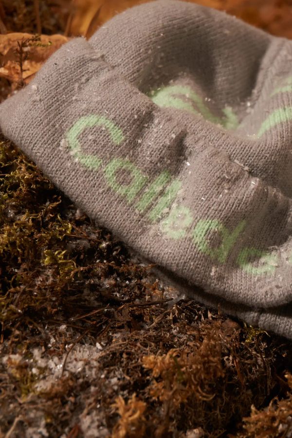 Шапка Pathway Logo Beanie серый / мятный - фото 7