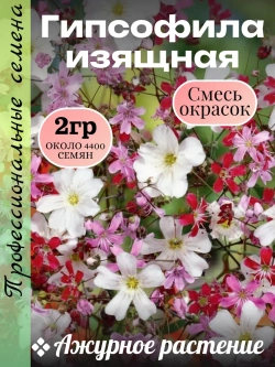 Семена Гипсофила изящная Смесь окрасок 2 гр