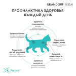Сухой корм для кошек, GRANDORF Fresh Cat KITTEN Lamb&Sweet Potato Свежее мясо ягненка с бататом для котят 2 кг