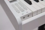 Pierre Cesar DP-121-H