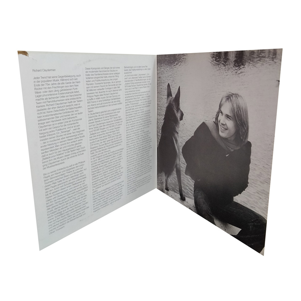 Richard Clayderman / Portrait (2LP)
