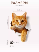 Наклейка с котиком интерьерная