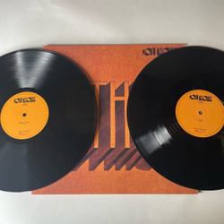 Винтажная виниловая пластинка LP Soft Machine Third (Европеский Союз 2004)
