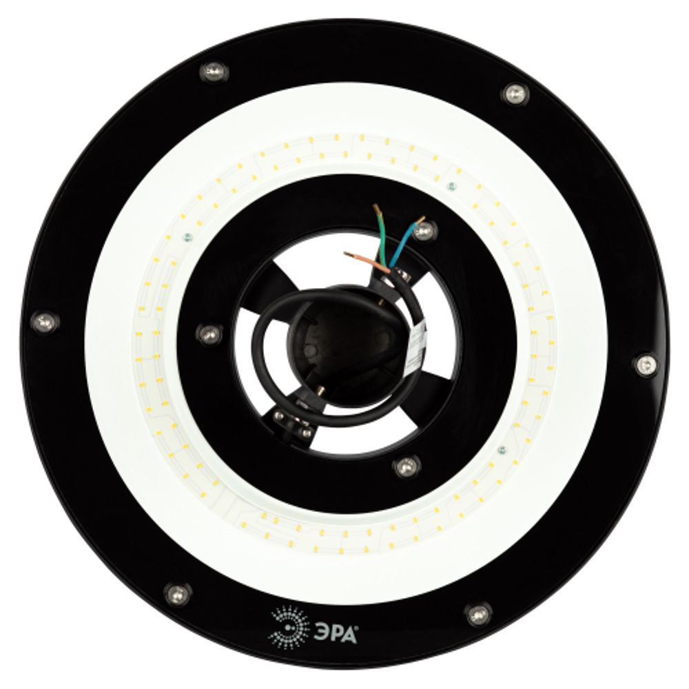 Светильник светодиодный садово-парковый ЭРА SPP-506-0-30K-060 60Вт 3000K IP65 черный | Садово-парковые светильники
