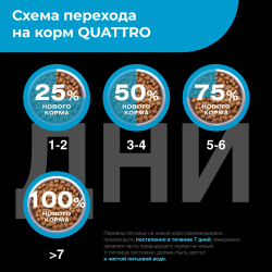 Корм сухой для взрослых собак породы Хаванез, с лососем, 2,5 кг, QUATTRO