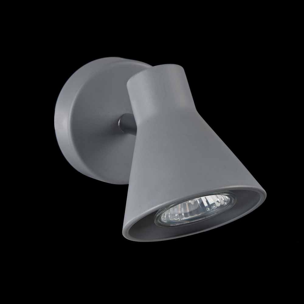Спот Freya FR4308-WL-01-GR