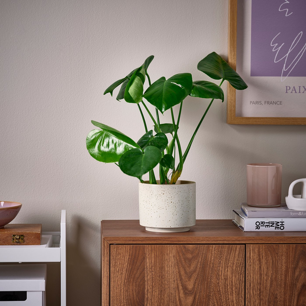IKEA SANDKÖRSBÄR  (ИКЕА САНДКЁРСБЭР)  -  Кашпо - для дома/улицы/бежевый 12 см
