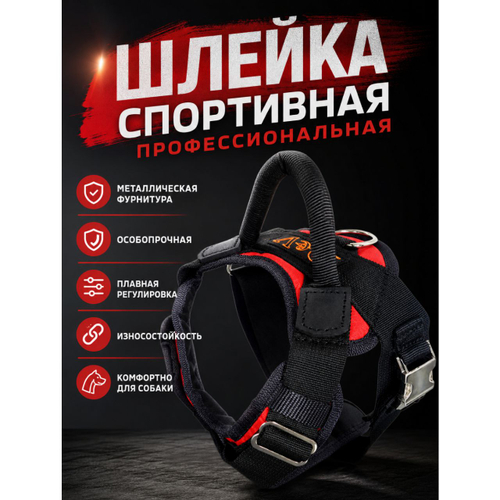 Шлейка спортивно - профессиональная DaiviBel  (комфорт) с металлической фурнитурой