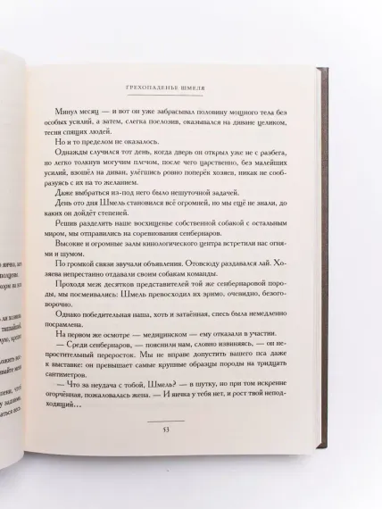 Собаки и другие люди