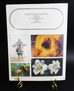 Книга «Флот на меди, никеле, серебре