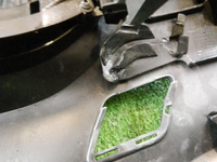 DSCN5346.jpg
