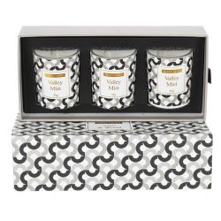 GAEM Набор из 3-х свечей ароматических, D 4.5 см, L20,5 W10 H5,5 см