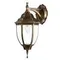 Настенный фонарь уличный Pegasus A3152AL-1BN Arte Lamp