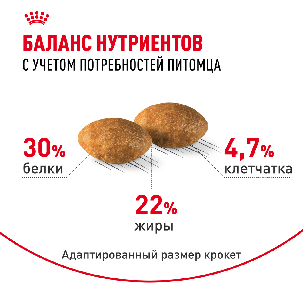 Корм для кошек Royal Canin Persian Adult Корм сухой сбалансированный для взрослых персидских кошек - 0,4 кг