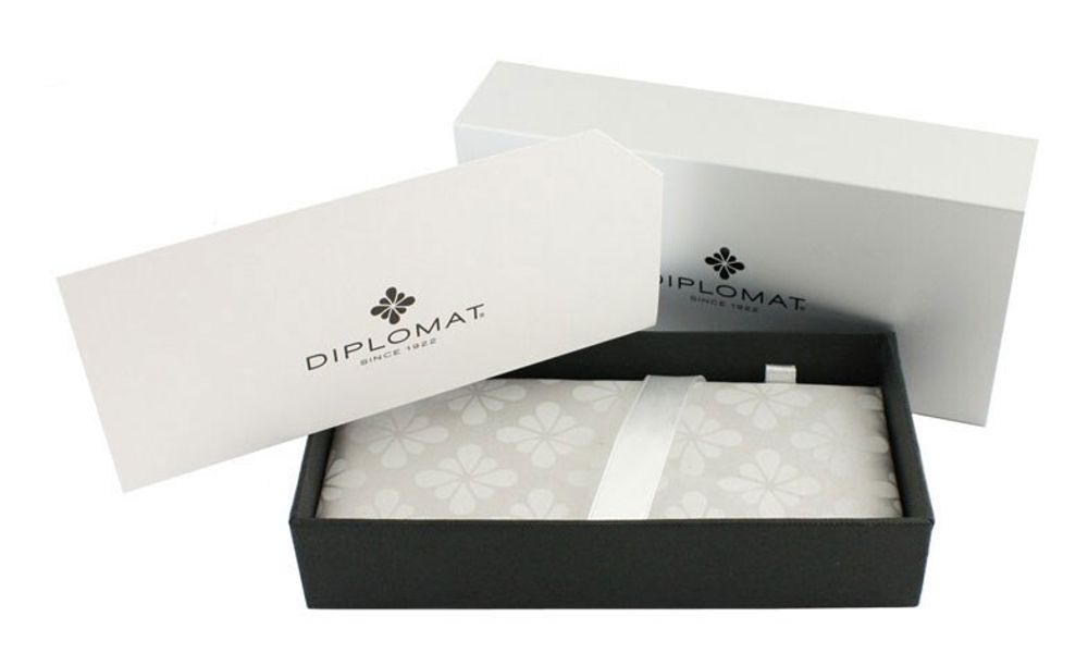 Перьевая ручка Diplomat Esteem matt chrome F (D20000284) 3