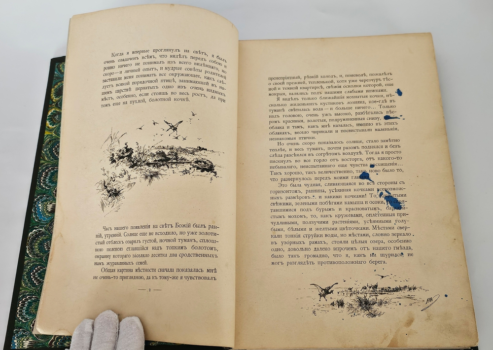 "С севера на юг. Путевые воспоминания старого журавля". Н.Н.Каразин. 1899г. - раритет