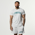 Футболка VANQUISH Academy T-Shirt Grey