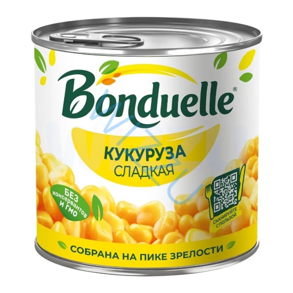 Кукуруза сладкая Roshni 425гр