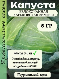 Семена капуста белокочанная Харьковская зимняя 5 гр
