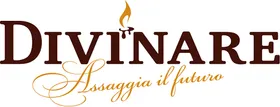 Логотип Divinare