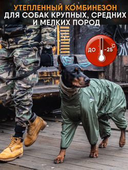 Утепленный комбинезон для собак мелких и средних пород Монморанси, цвет хаки, S2