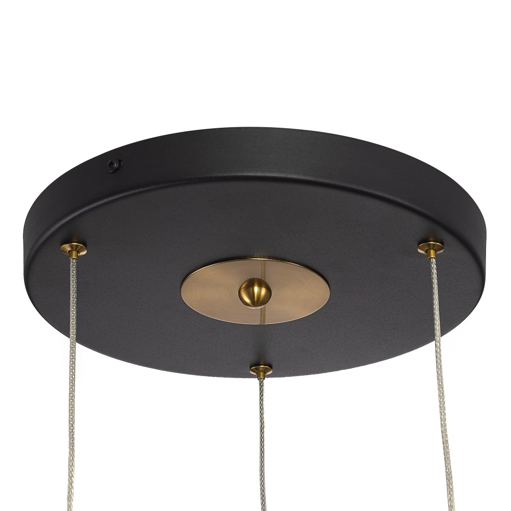 Подвесной светодиодный светильник Citilux TANNA CL253020