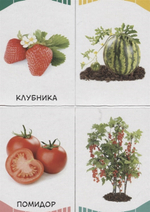 Фрукты, овощи, ягоды (Первые слова)/Росмэн/КН. 9785353090281