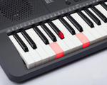 Medeli M221L