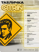 Табличка декоративная "Элвис Пресли, Elvis Presley" на дверь и стену, прикольная штука в подарок, декоративный знак, 24,5х24,5 см, пластиковая, Айдентика Технолоджи