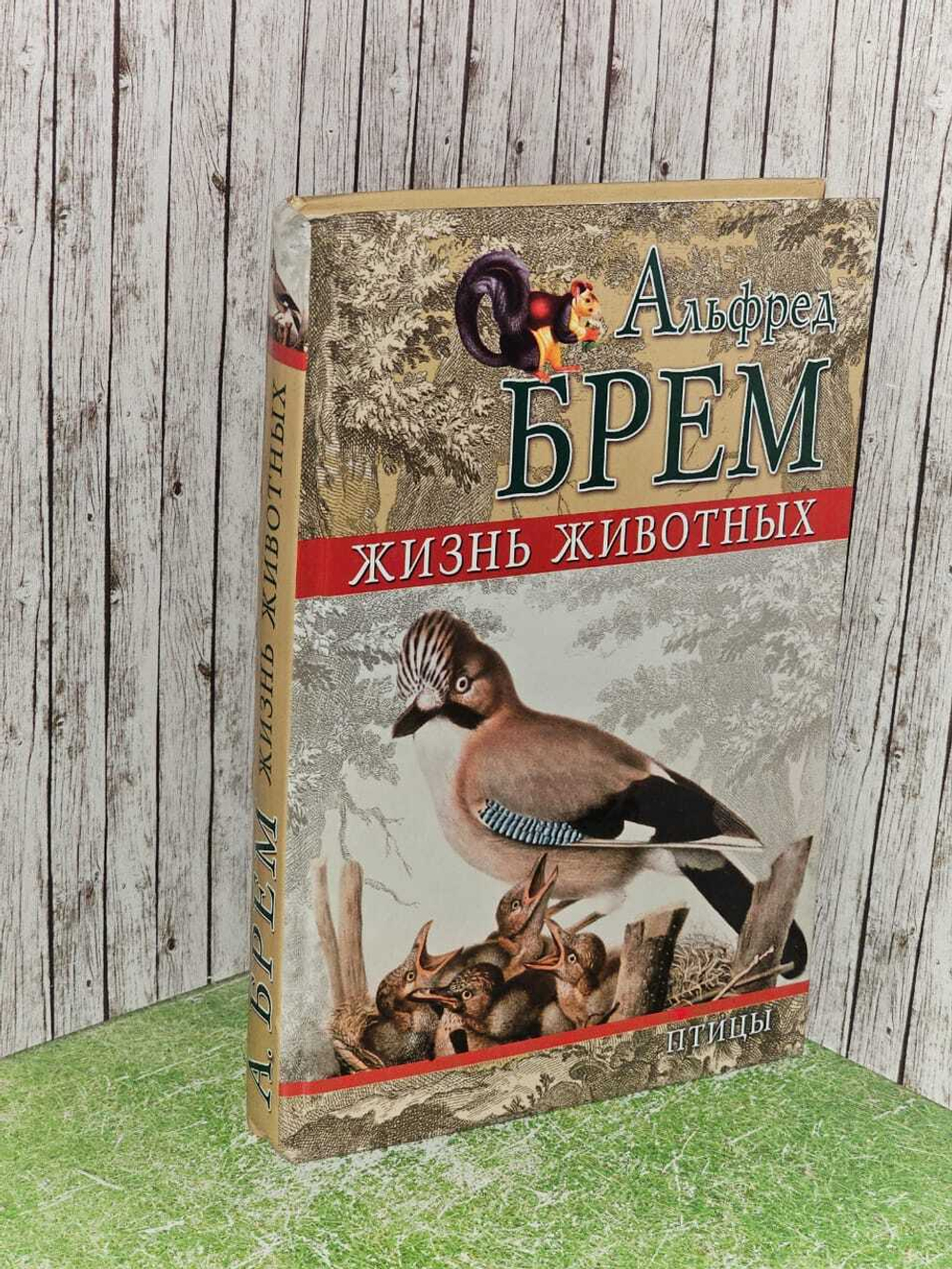 Жизнь животных. Птицы. Том 1. Отряд древесные птицы