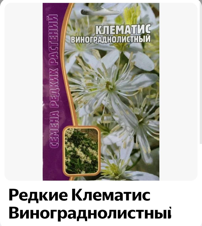 КЛЕМАТИС ВИНОГРАДНОЛИСТНЫЙ 47 17