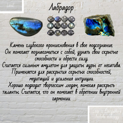 Лабрадор. Чокер классика. Камень крошка