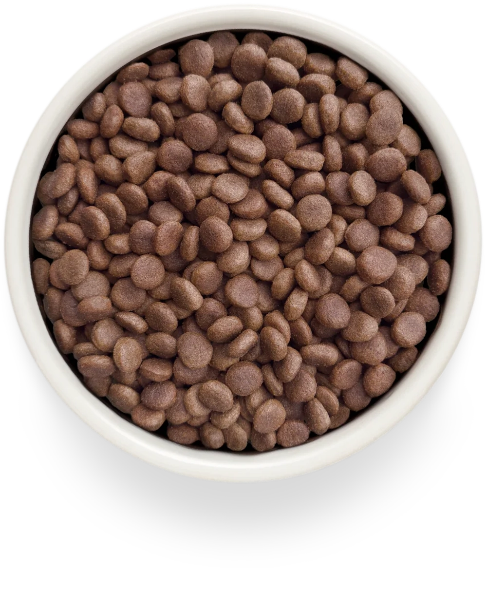 Корм для собак GRANDORF VETERINARY DIET Dog GASTROINTESTINAL диетический при расстройствах пищеварения 3кг