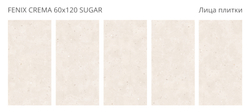 FENIX CREMA 60x120 SUGAR