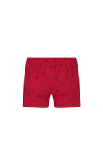 трусики-боксеры 3-pack POLO RALPH LAUREN - зеленый(714830273)