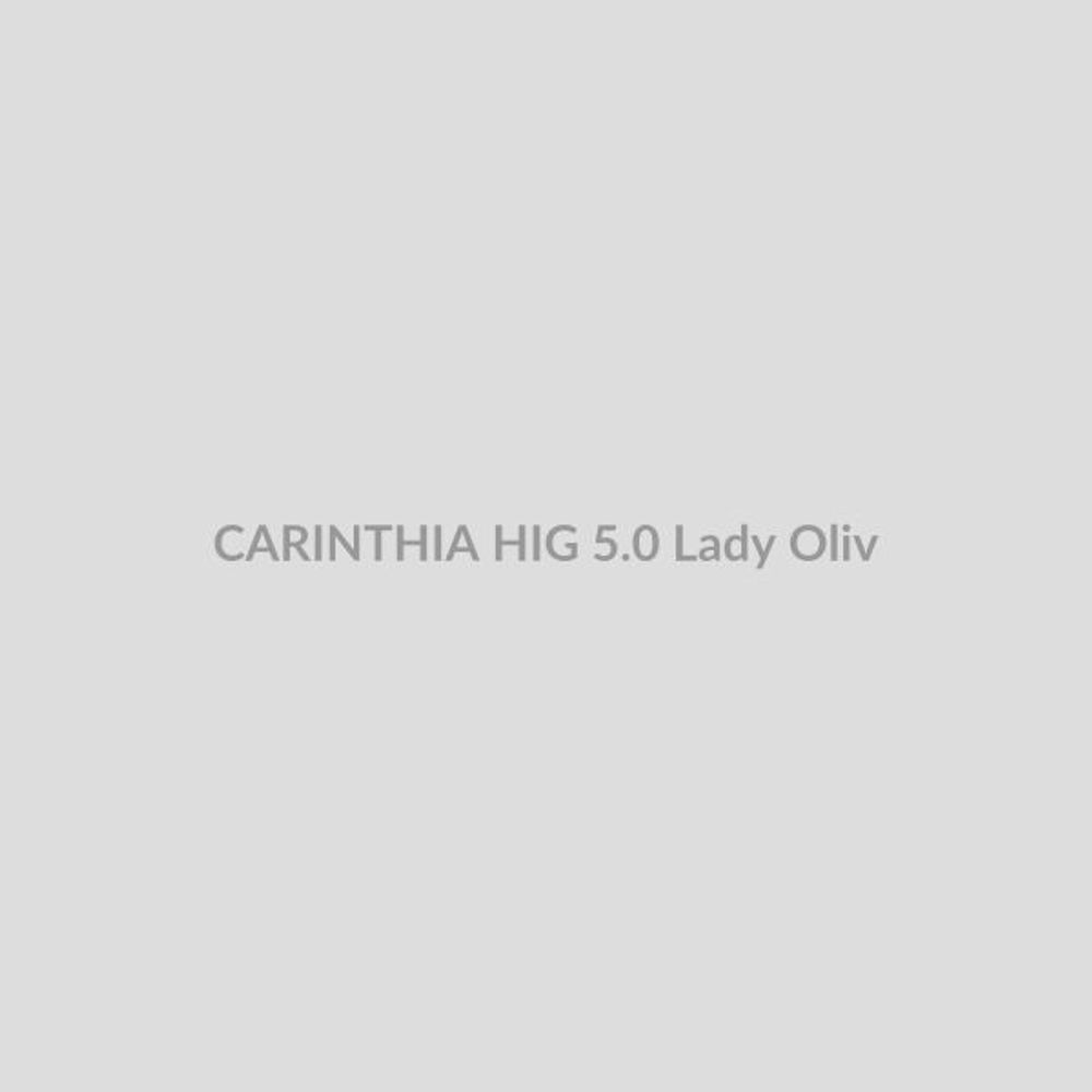Штаны CARINTHIA ECIG 5.0 - Oliv
