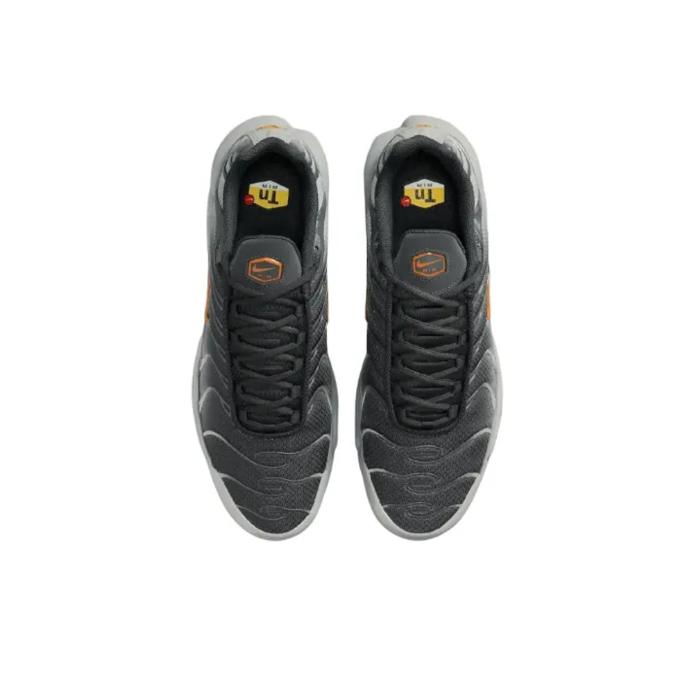Air Max Plus Silver
