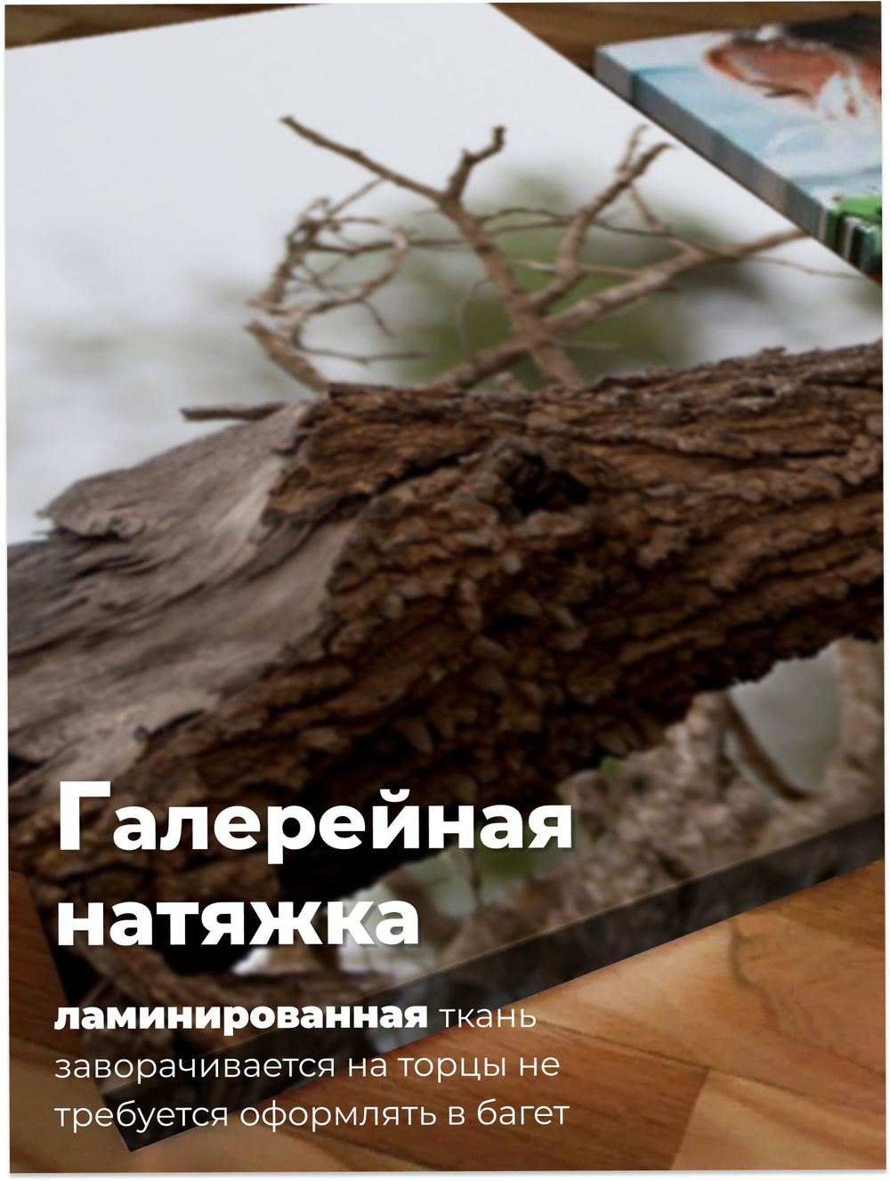 Картина Ожидание охоты модульная 50x70см 3шт., на деревянном подрамнике
