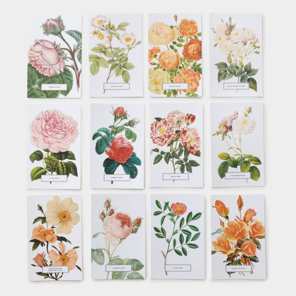 Roses: 100 Postcards from the Archives of The New York Botanical Garden