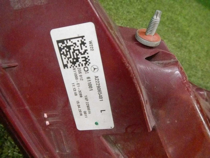 DSCN5565.jpg