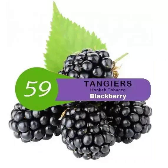 Tangiers Burley - Blackberry