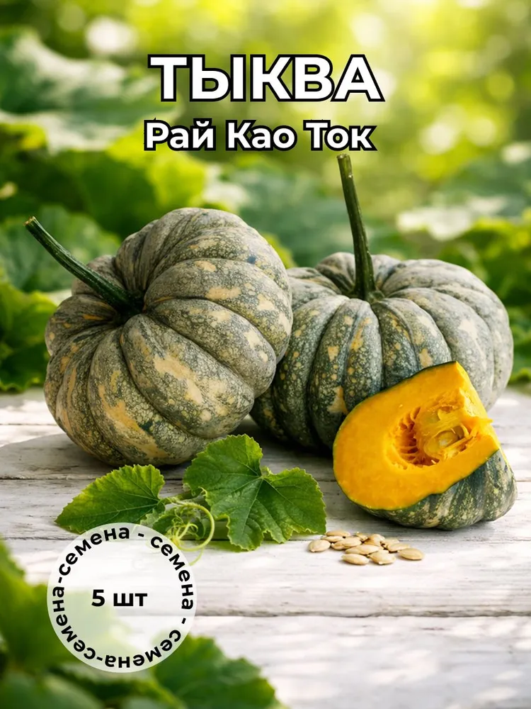 Тыква Рай Као Ток — семена, 5 шт.
