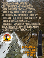 Палки для трекинга, скандинавский ходьбы/ телескопические Carbon pole EVA grip /2 шт, цвет черный