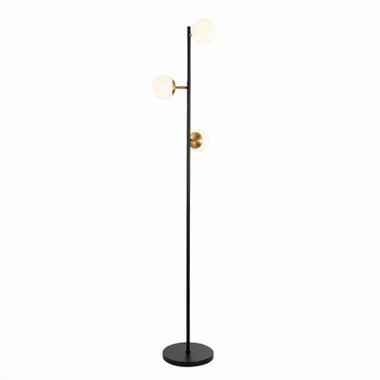 Светильник напольный Evoluce Forli SLE220405-03