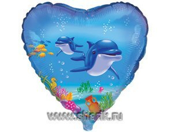 Ф 18" Сердце Дельфины