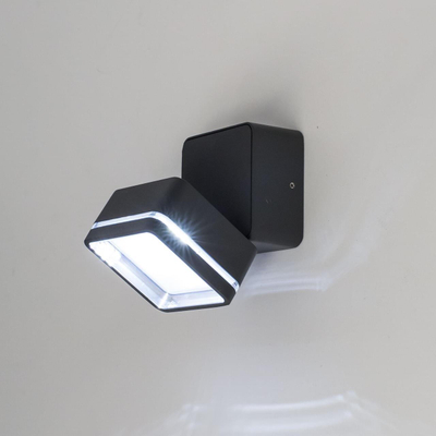 Citilux CLU0008K LED Уличный светильник поворотный Графит