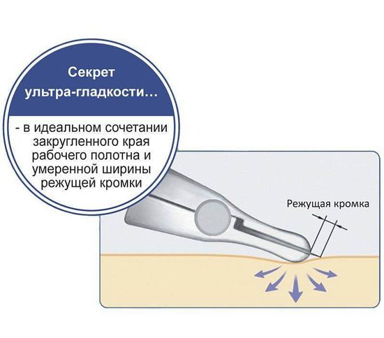 Professional Razor ACS-NB (Профессиональная опасная бритва камисори с японской рукояткой со сменными лезвиями Feather Artist Club SS ACS-NB черного цвета, 1 шт)