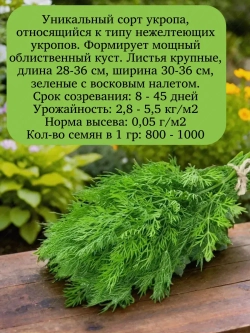 Семена Укроп Салют 50гр